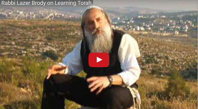 Learning Torah by Rabbi Lazer Brody